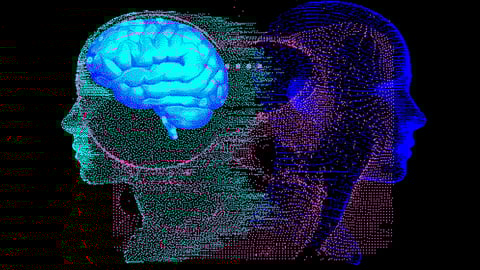Neural Network